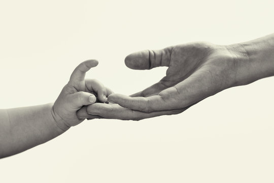 Baby hand in mother's hand. Black and white, isolate image.