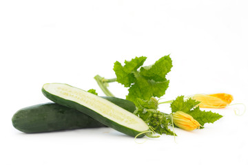 Fresh cucumber with leaves and flowers on white table. Organic cucumbers, one cut. Healthy vegetable.