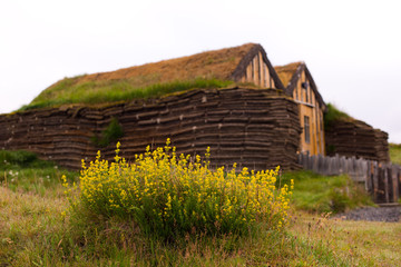 Traditional Icelandic houses with grass roof in Iceland. Europe.