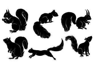 Vector Squirrel Silhouettes Set
