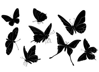 8 Vector Butterfly Silhouettes Set