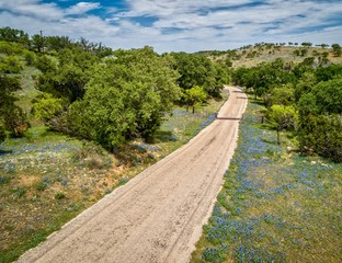 Texas Bluebonnet Road