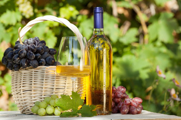 Various grapes and white wine