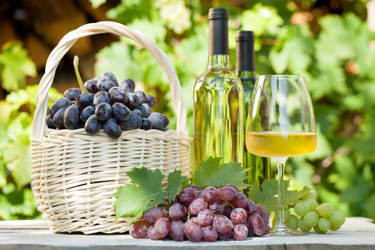 Various grapes and white wine