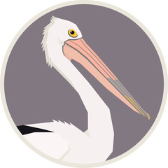 Australian pelican bird Vector illustration Round frame