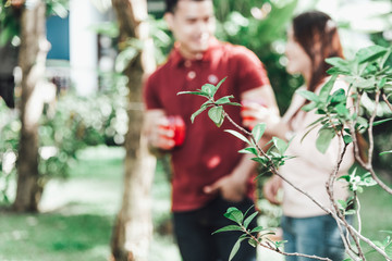 Blur images of the Couples talking and relaxing together in the garden, This picture focus on green leaf of tree, concept to love and valentine day