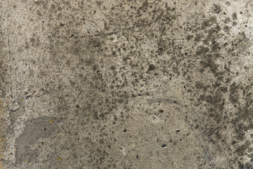 Grungy cement wall texture. Gray dirty background.