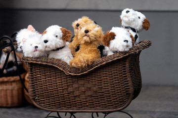 puppies in a wicker basket, stuffed toys