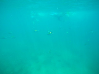 Fototapeta na wymiar snorkeling, Los Arcos National Marine Park in Mexico near Puerto Vallarta