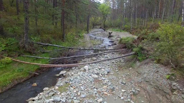 A small river in the altai mountains. Aerial video Russia Siberia