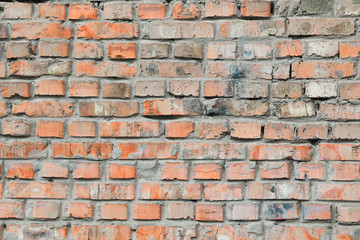 Brick wall texture on whole background, empty space