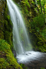 Lancaster Falls in Starvation Creek State Park along the Columbia River Gorge near Hood River,...