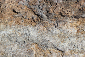 Texture Roche