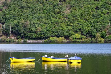 Fototapeta na wymiar Bright Yellow and Blue Row Boats on a Lake
