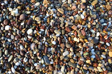 Pied sea pebble of various forms background