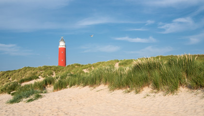 Texel Lighthouse in the dunes on a sunny summer day in june