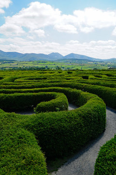The Peace Maze in Castlewellan, Norhern Ireland. Mourne Mountains in the background