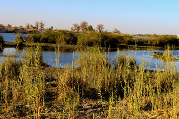 landscape with lake