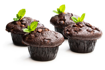 Four chocolate muffins isolated on white decorated with mint leaves