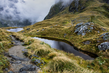 Milford Track as it passes over the Mackinnon Pass in Fiordland National Park in the South Island of New Zealand. This pass is the highest point on the track, at 1154 meters or 3786 feet.