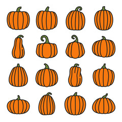 Pumpkin line color icons set. Organic food. Vector