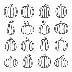 Pumpkin line icons set. Organic food. Vector