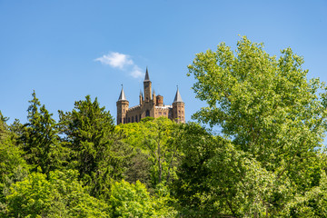 Fototapeta na wymiar Castle between trees