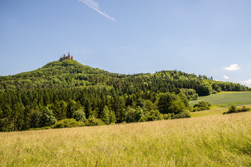 Hilltop castle with trees