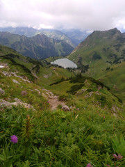 Fototapeta na wymiar Allgäuer Alpen, Blick auf den Seealpsee