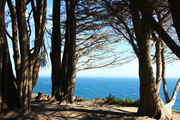 Obraz premium Monterey Bay