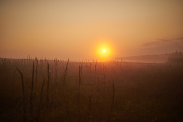sunrise in a field with fog in summer