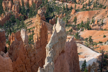 Bryce Canyon, details of rock formation