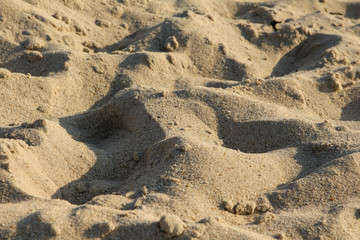 Sylt - the beautiful island is located in the north of Germany