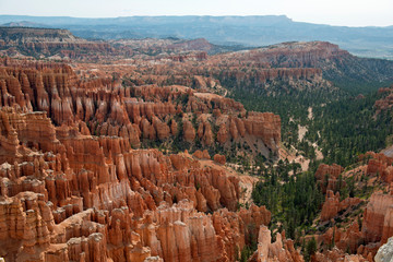 Hoodoos and trees in Bryce Canyon