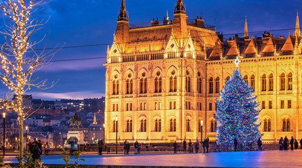Naklejka premium Nice Christmas tree in front of the Hungarian Parliament