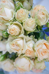 A bouquet of fresh tea and gently pink roses on a blue background.