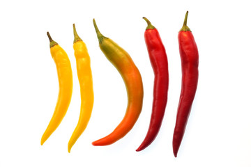 Five colorful chili peppers in a row with white background