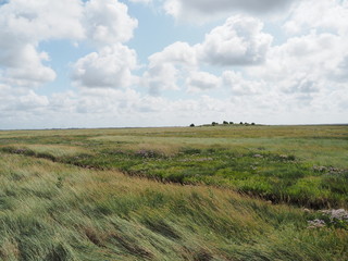 UNESCO-Weltnaturerbe - Nationalpark Wattenmeer 