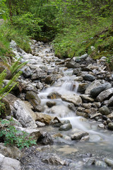 idyllischer Waldbach