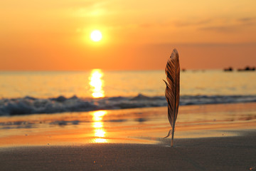 Sylt - the beautiful island is located in the north of Germany