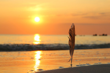 Sylt - the beautiful island is located in the north of Germany