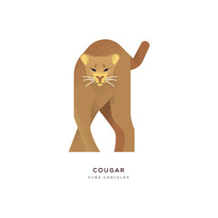 Wild cougar cat isolated animal cartoon