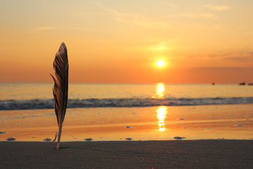 Sylt - the beautiful island is located in the north of Germany
