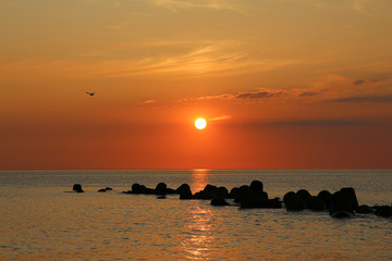 Sylt - the beautiful island is located in the north of Germany