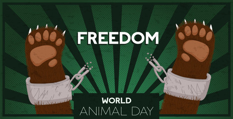 Animal day freedom concept of bear breaking chain