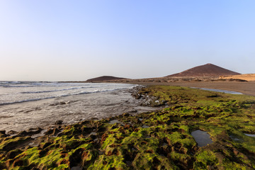 El Medano beach. Tenerife island, Spain