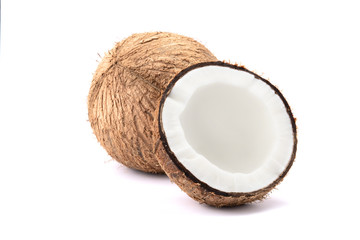  coconut on a white background