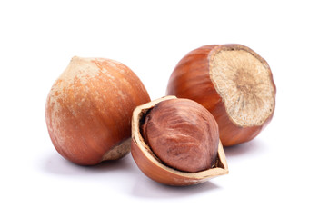  hazelnut on a white background