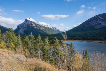 Naklejka na ściany i meble mountain range, forest and river in the sun at banff national park canada