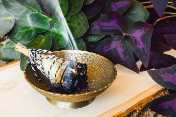 Smudging with Violet Flower and Purple Shamrock © Serena Tayyan